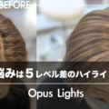 大人の女性の白髪の悩みは5レベル差のハイライトのOpusLightsが救う!